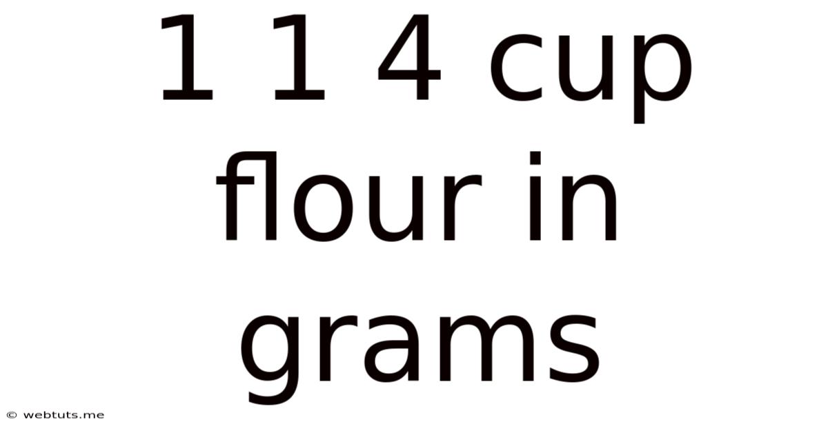 1 1 4 Cup Flour In Grams