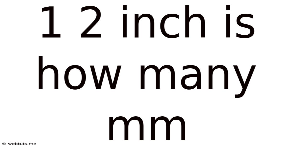 1 2 Inch Is How Many Mm