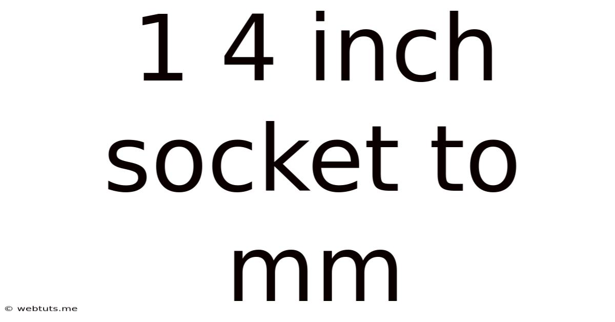 1 4 Inch Socket To Mm