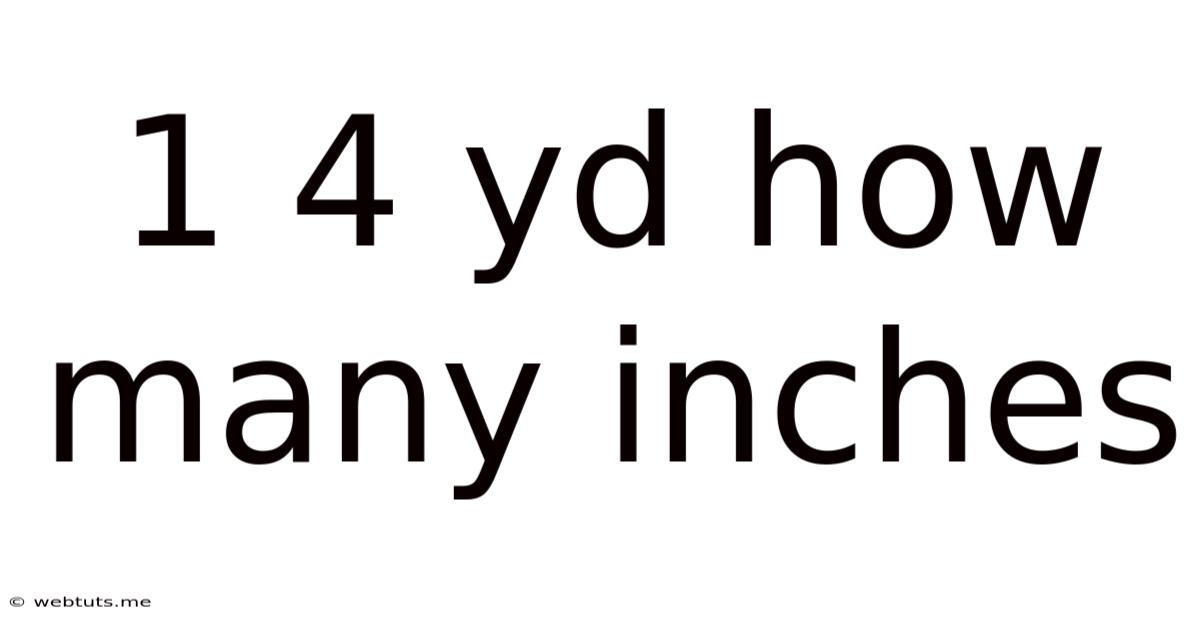 1 4 Yd How Many Inches