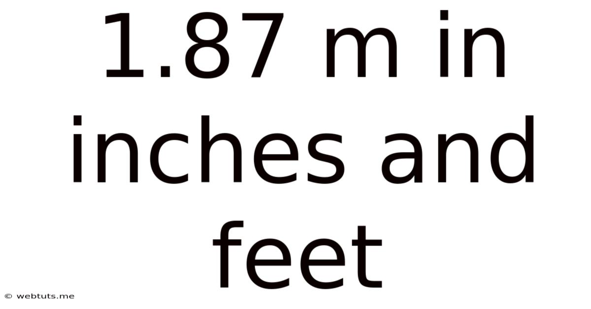1.87 M In Inches And Feet