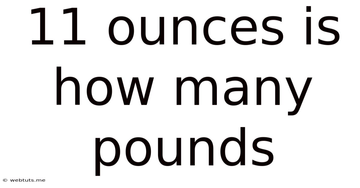 11 Ounces Is How Many Pounds