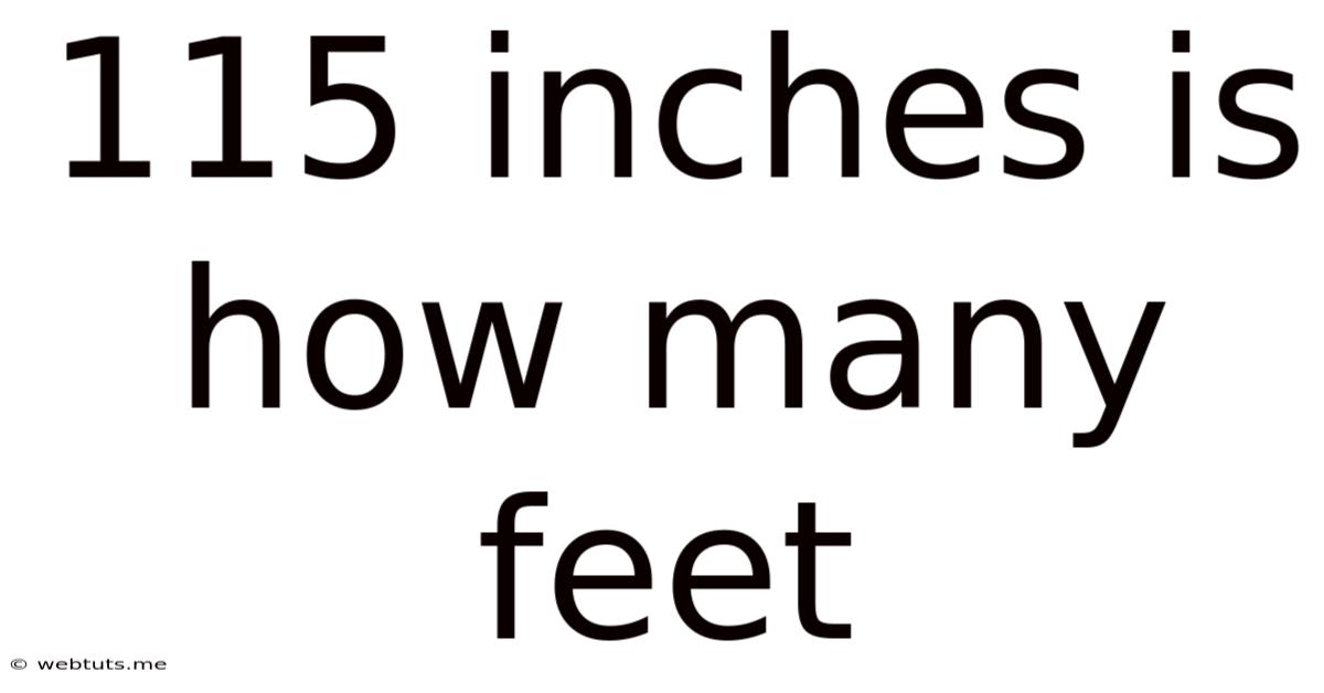 115 Inches Is How Many Feet