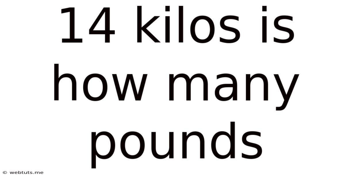 14 Kilos Is How Many Pounds