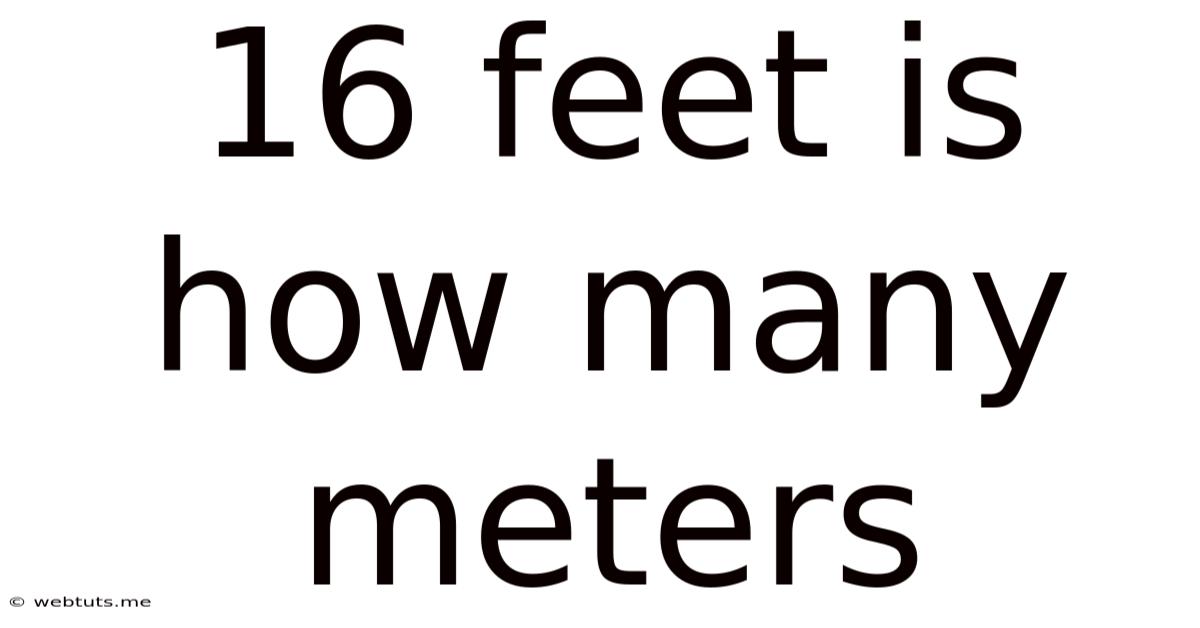 16 Feet Is How Many Meters