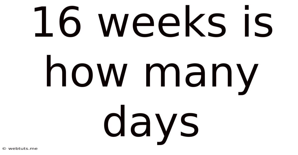 16 Weeks Is How Many Days
