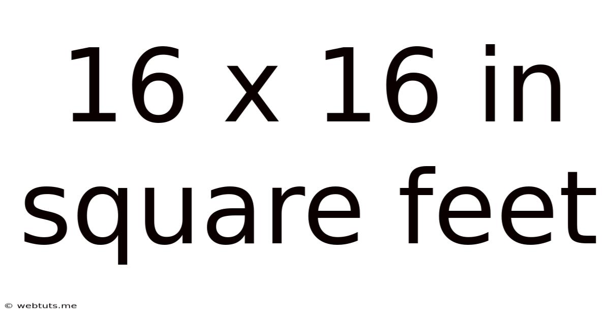 16 X 16 In Square Feet