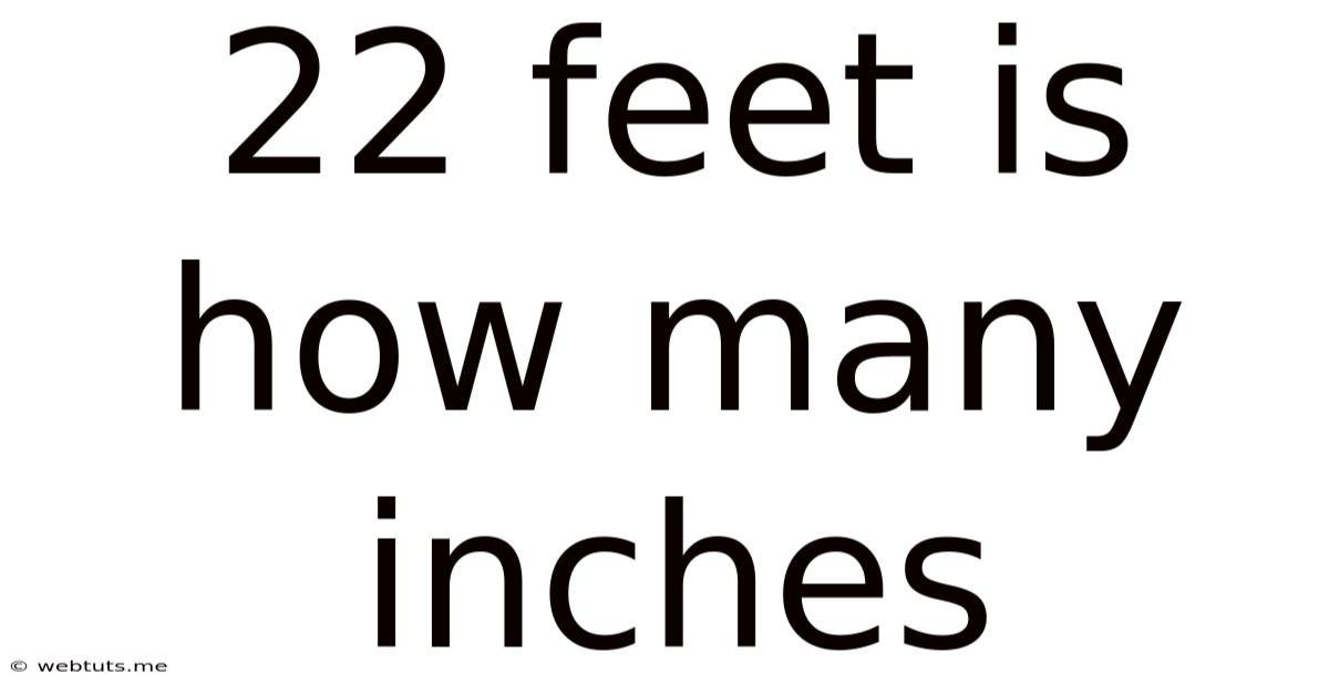 22 Feet Is How Many Inches
