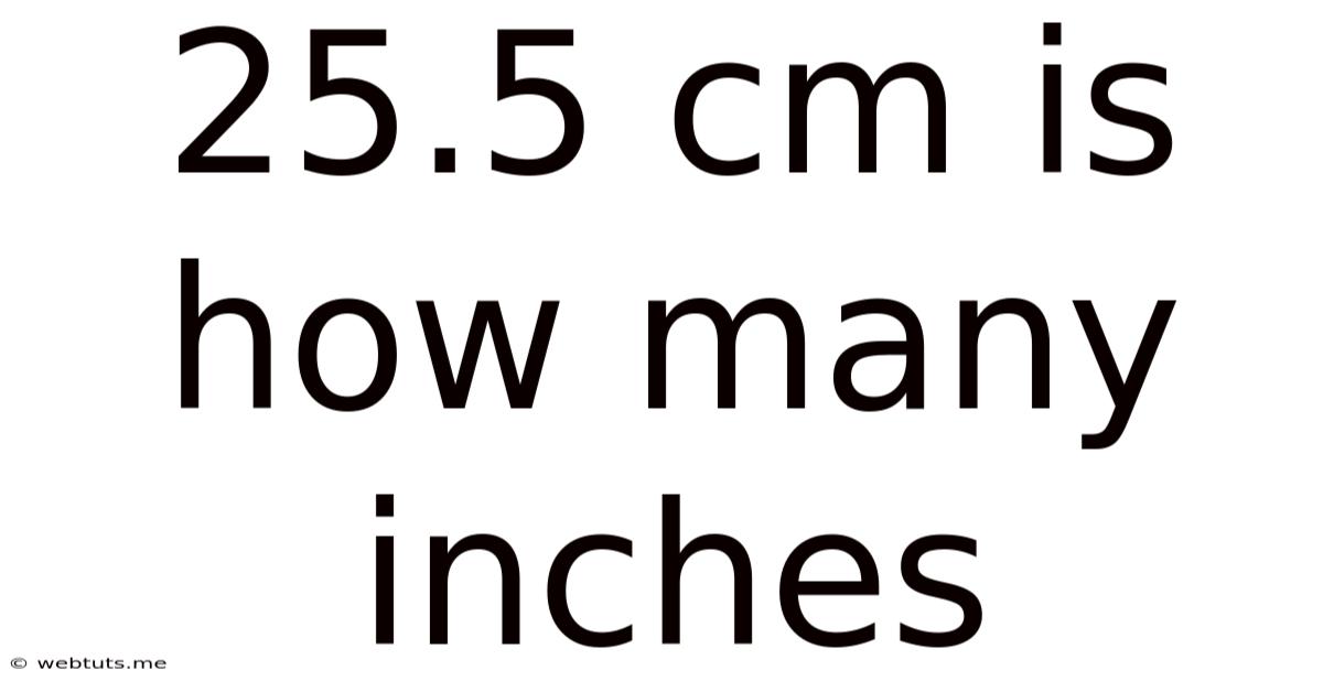 25.5 Cm Is How Many Inches