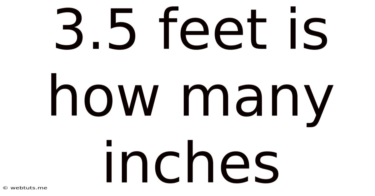 3.5 Feet Is How Many Inches