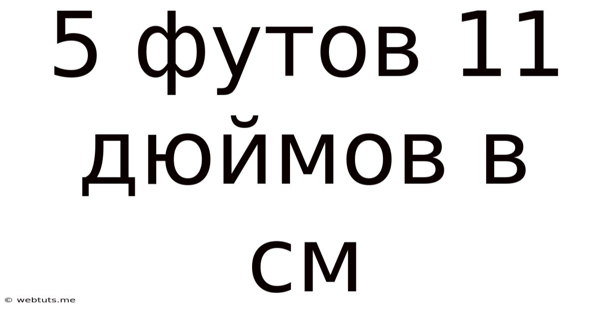 5 Футов 11 Дюймов В См