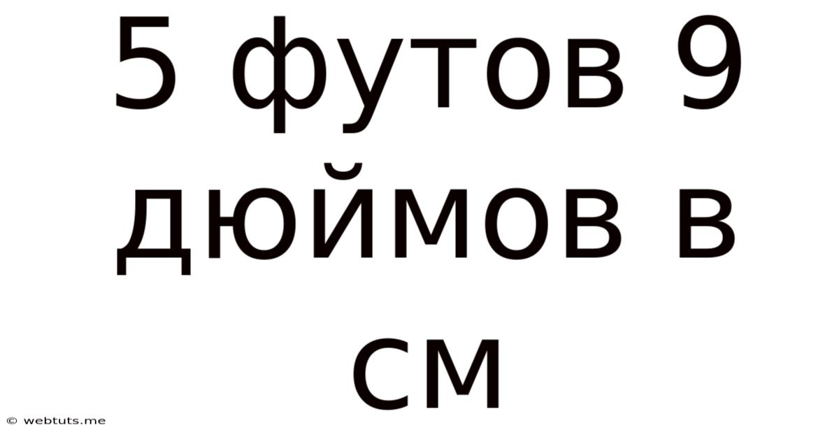 5 Футов 9 Дюймов В См