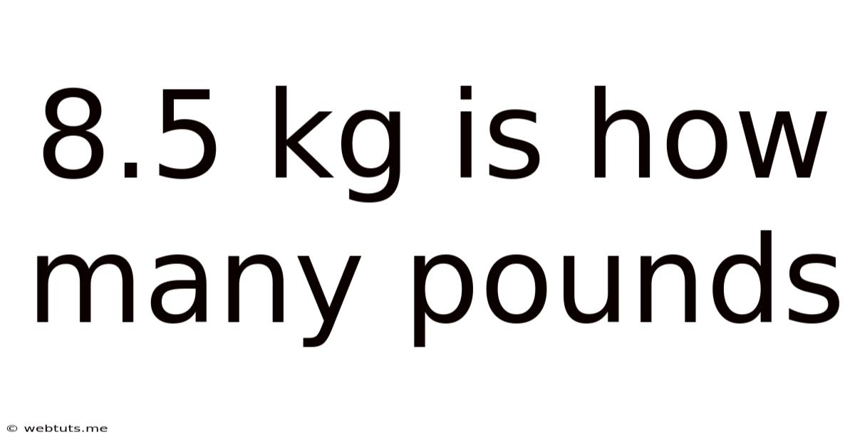 8.5 Kg Is How Many Pounds
