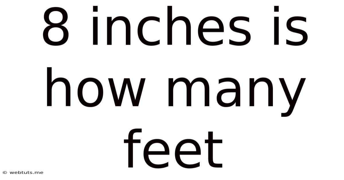 8 Inches Is How Many Feet