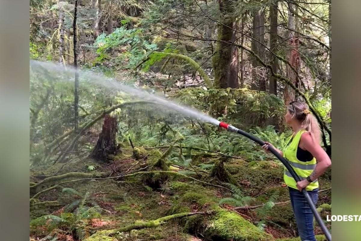 Alice Lake Evacuation: Squamish Wildfire Update