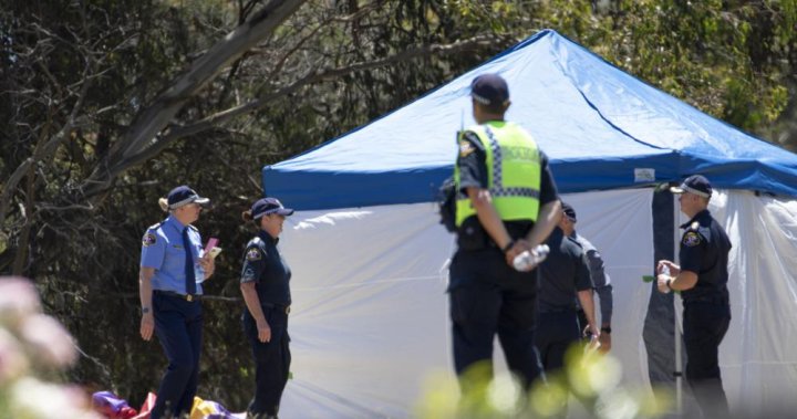 Bouncy Castle Tragedy: 6 Kids Dead, Operator Cleared