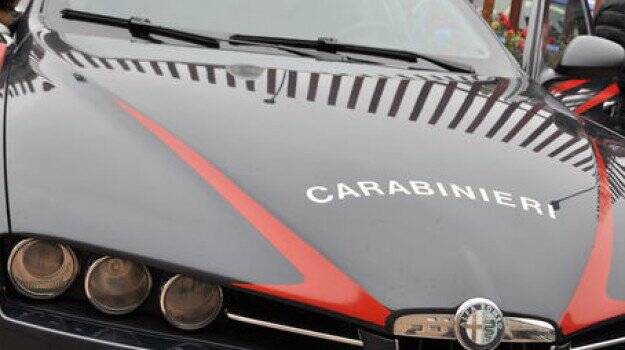 Calabria Shoplifter Headbutts Employee, Arrested
