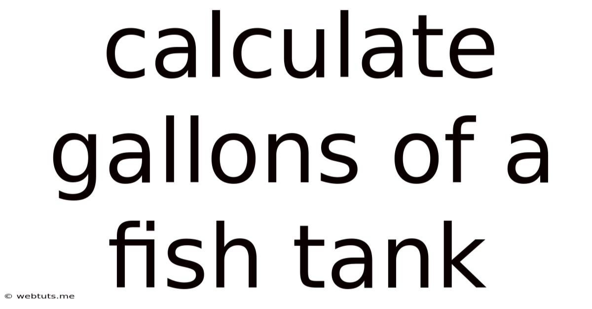 Calculate Gallons Of A Fish Tank
