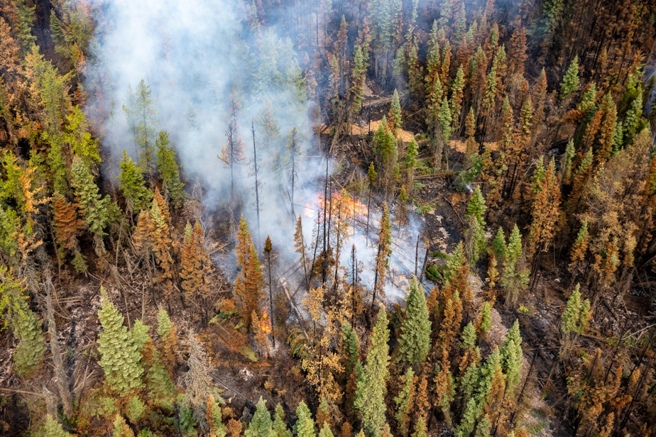 Canadian Army Assists Ontario Wildfire Fight