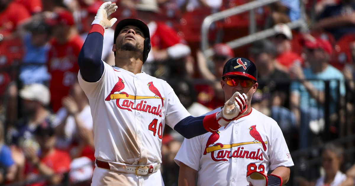Cardinals' Heather Simon: A Different Perspective