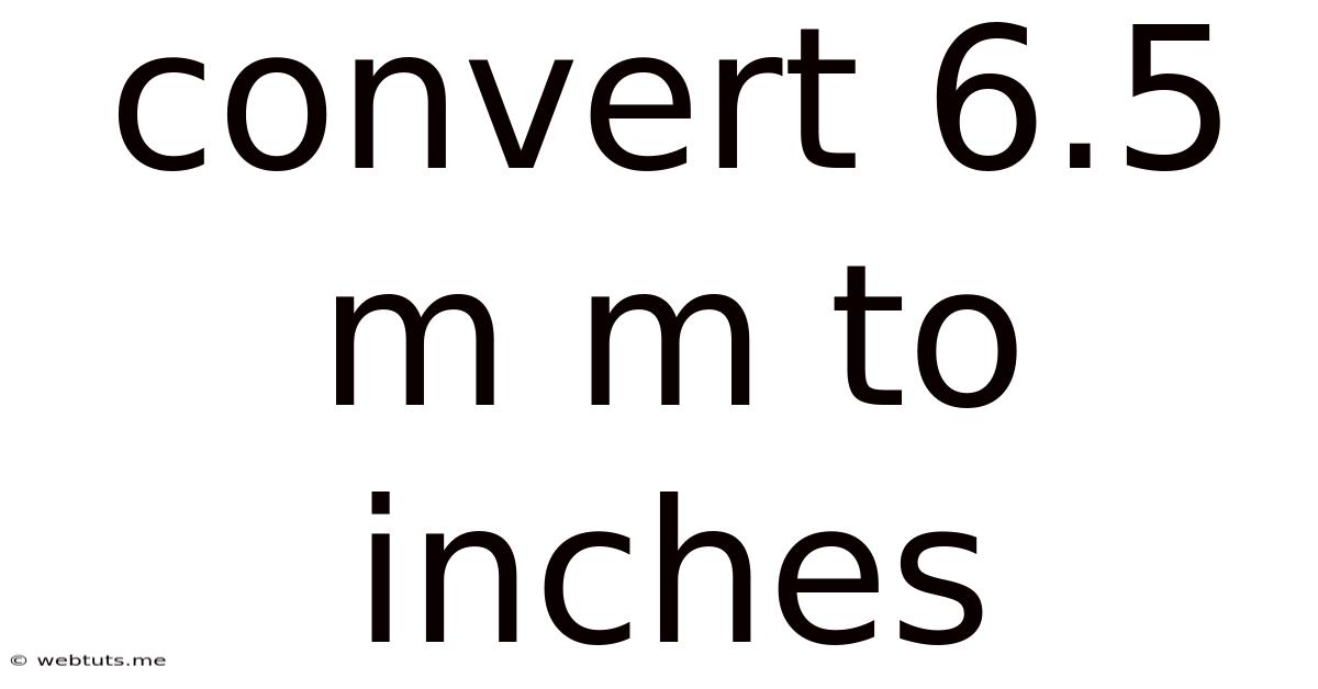 Convert 6.5 M M To Inches