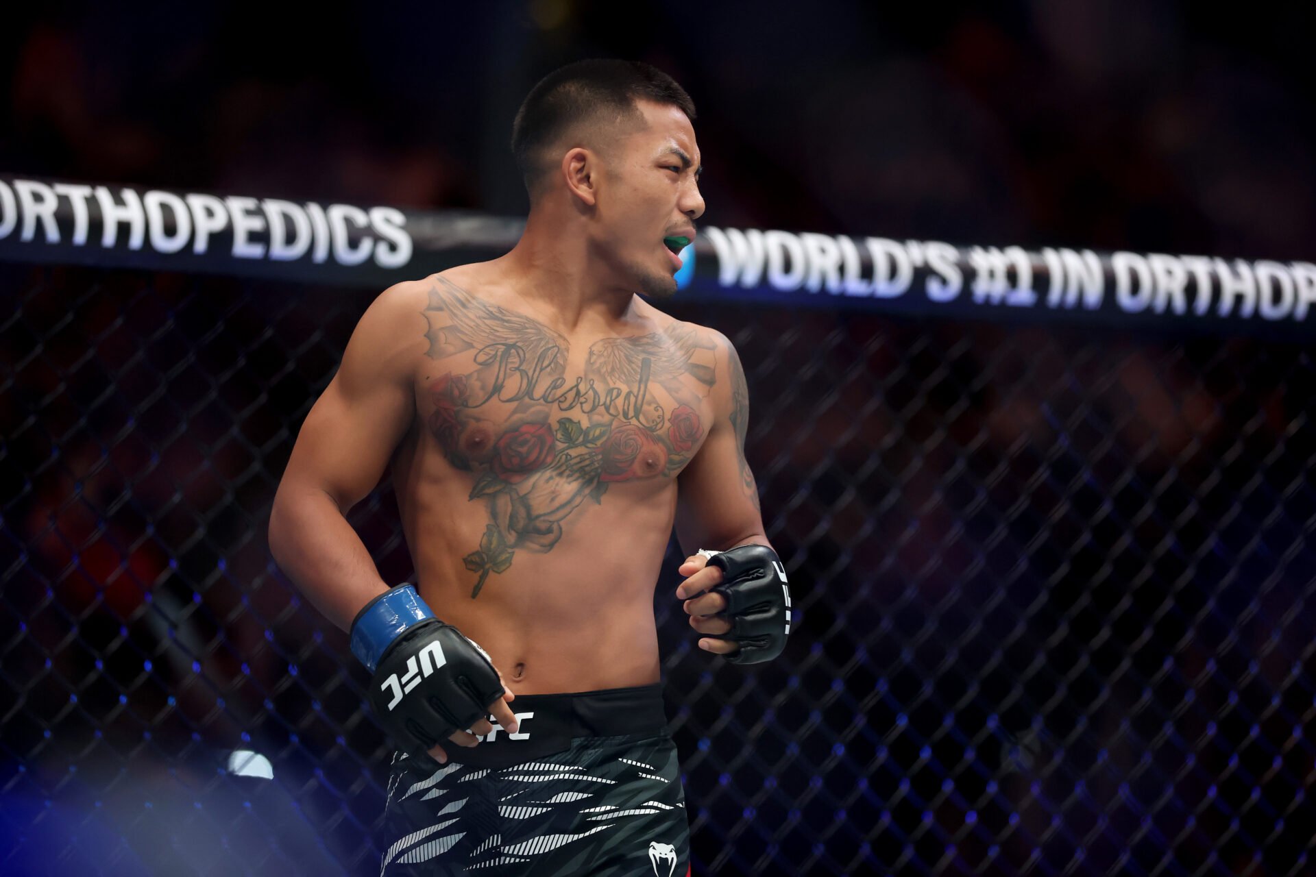 Dana White: UFC 23-Year-Old Contender