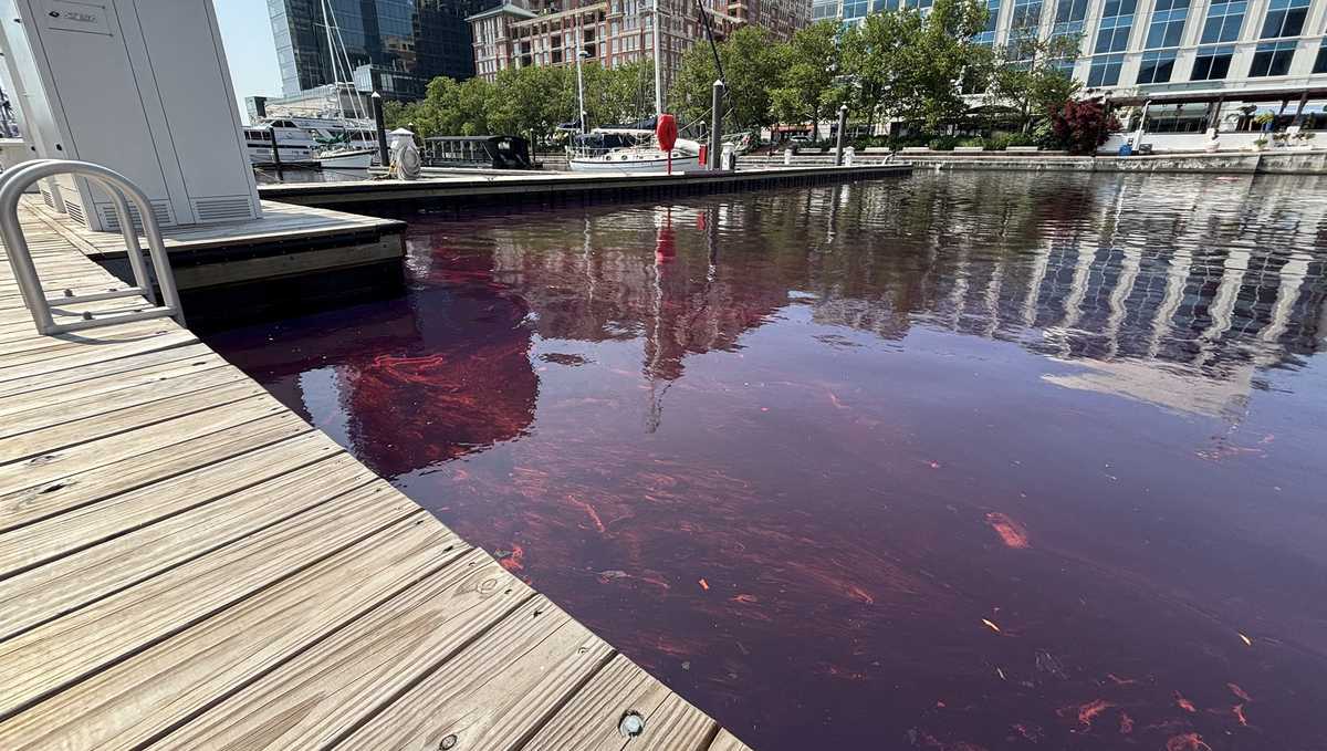 Harbor East Fuel Spill: 2,000 Gallons!