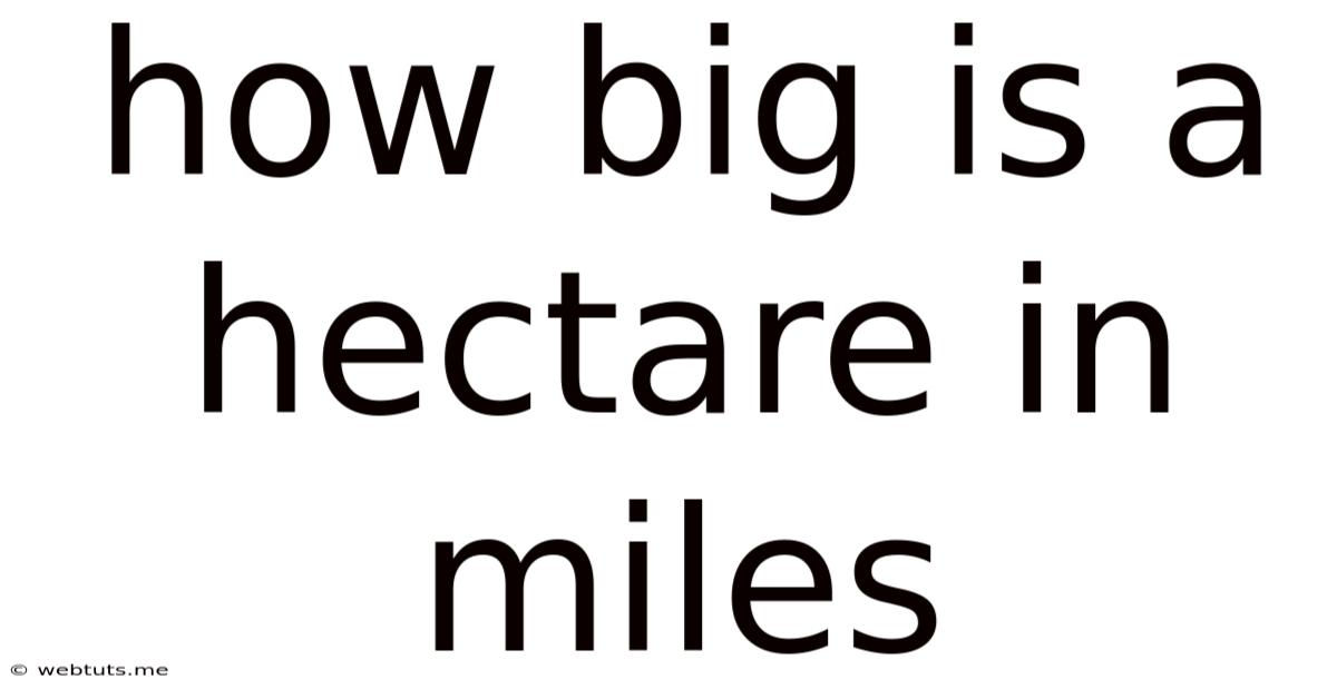 How Big Is A Hectare In Miles
