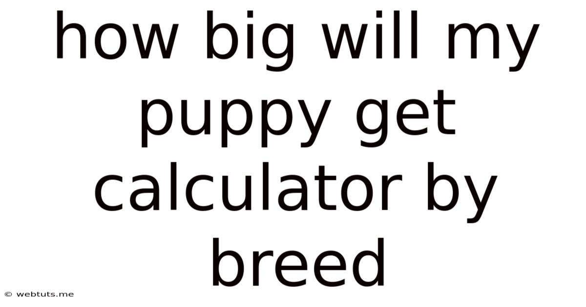 How Big Will My Puppy Get Calculator By Breed