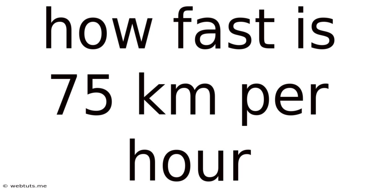 How Fast Is 75 Km Per Hour