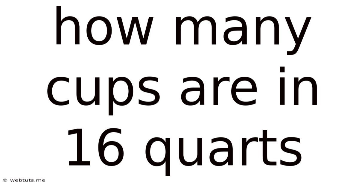 How Many Cups Are In 16 Quarts