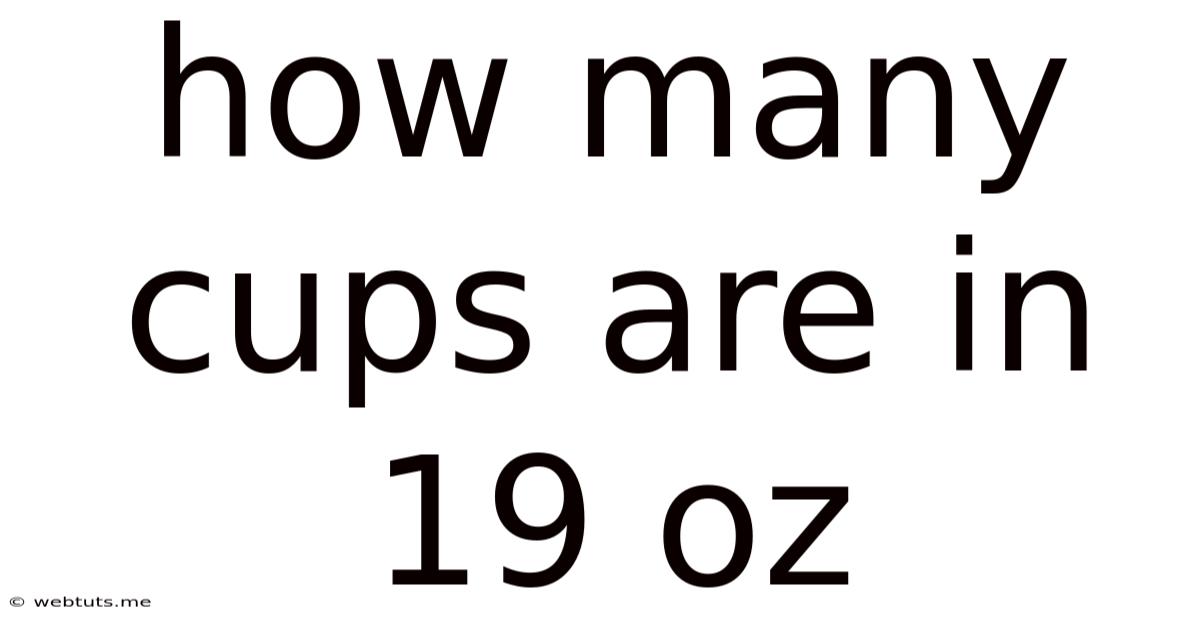 How Many Cups Are In 19 Oz
