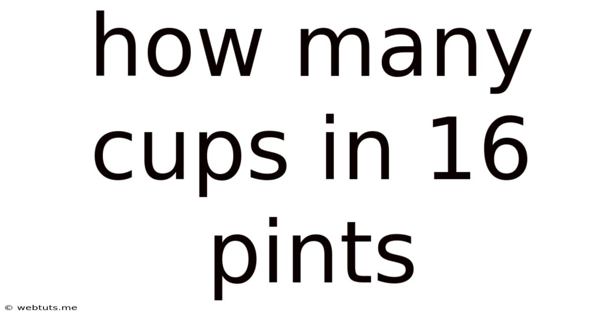 How Many Cups In 16 Pints