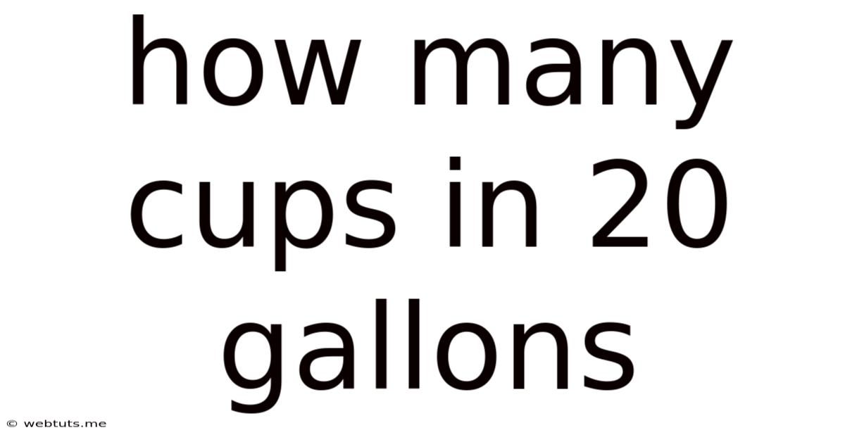 How Many Cups In 20 Gallons