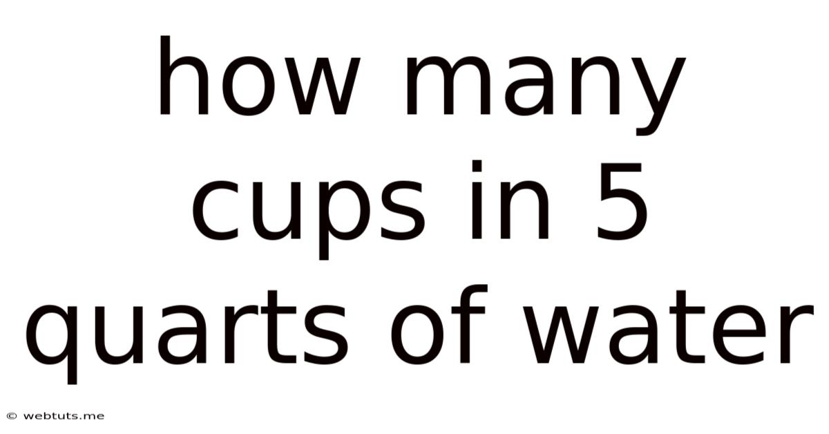 How Many Cups In 5 Quarts Of Water