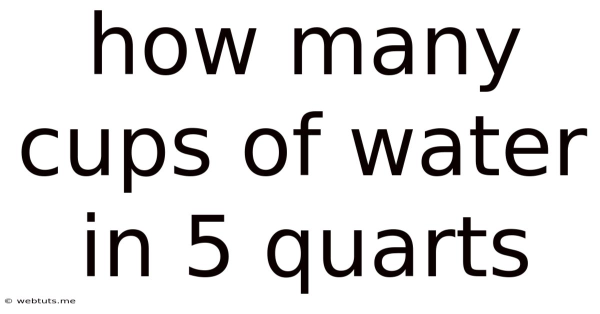 How Many Cups Of Water In 5 Quarts