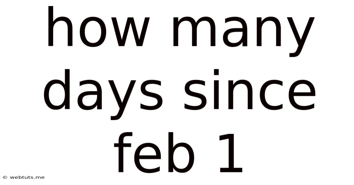 How Many Days Since Feb 1