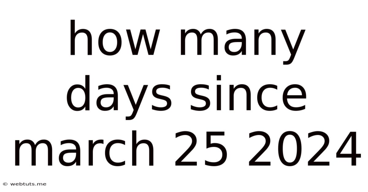 How Many Days Since March 25 2024