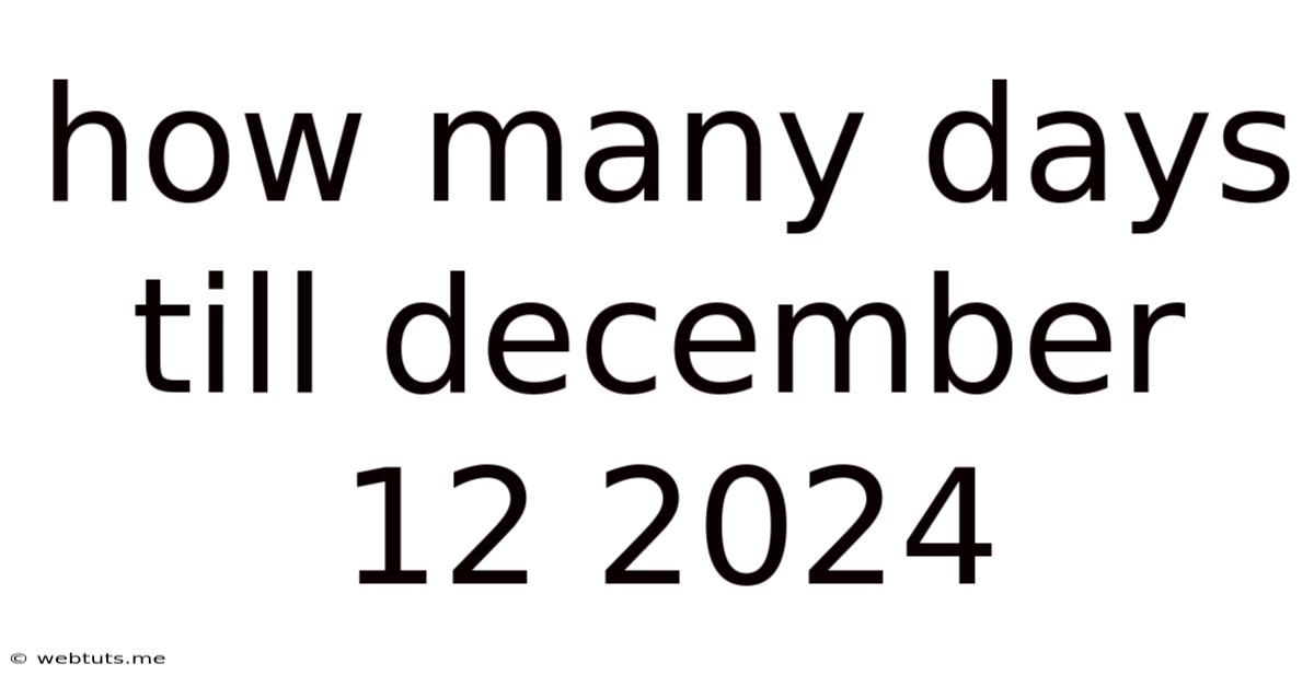 How Many Days Till December 12 2024