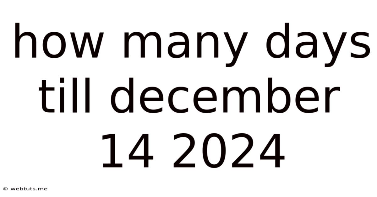 How Many Days Till December 14 2024