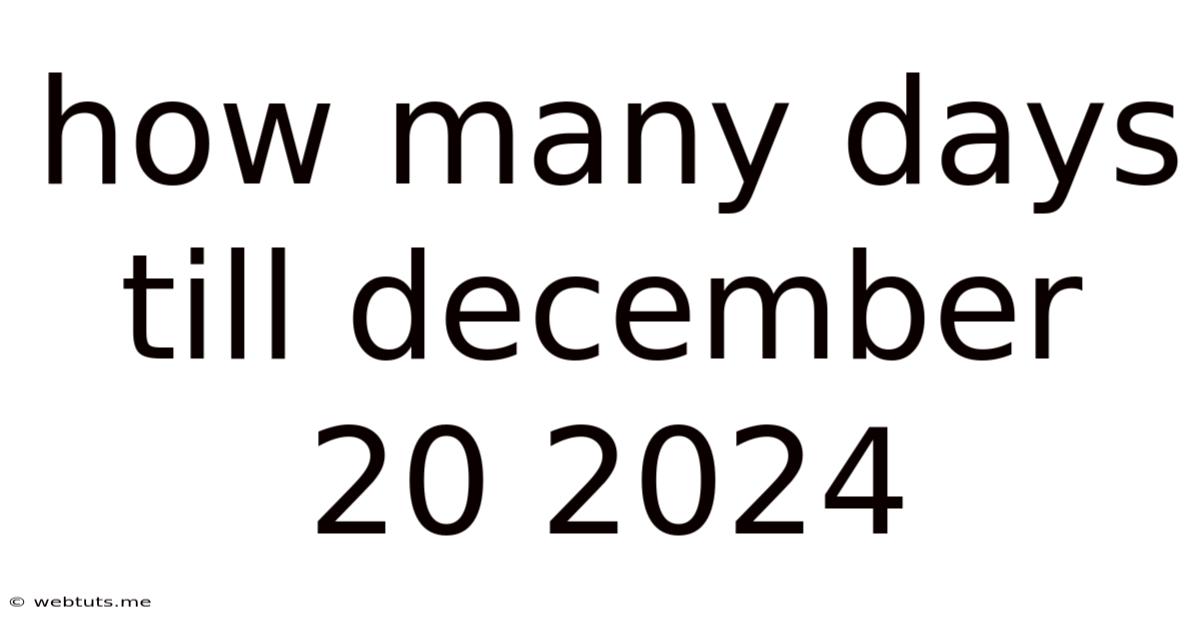 How Many Days Till December 20 2024