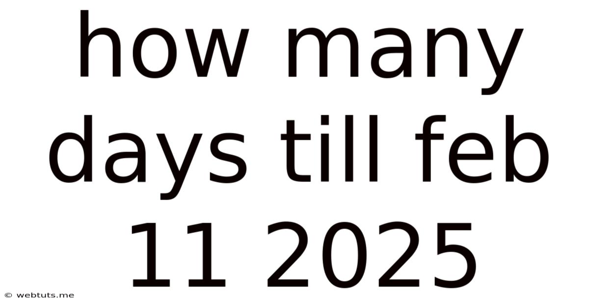 How Many Days Till Feb 11 2025
