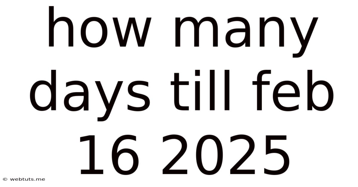 How Many Days Till Feb 16 2025