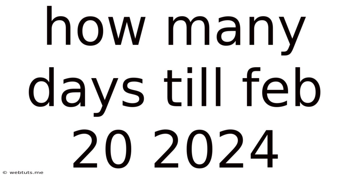 How Many Days Till Feb 20 2024