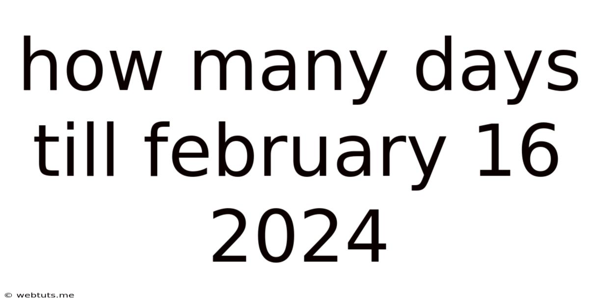 How Many Days Till February 16 2024
