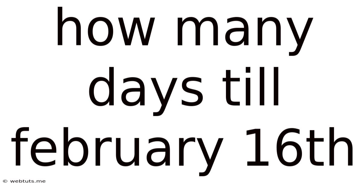 How Many Days Till February 16th