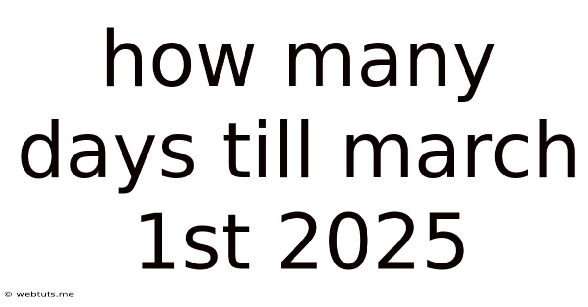 How Many Days Till March 1st 2025