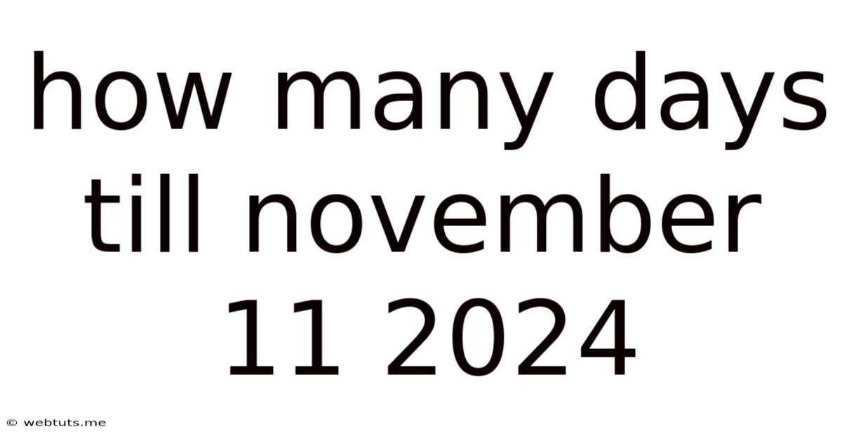 How Many Days Till November 11 2024