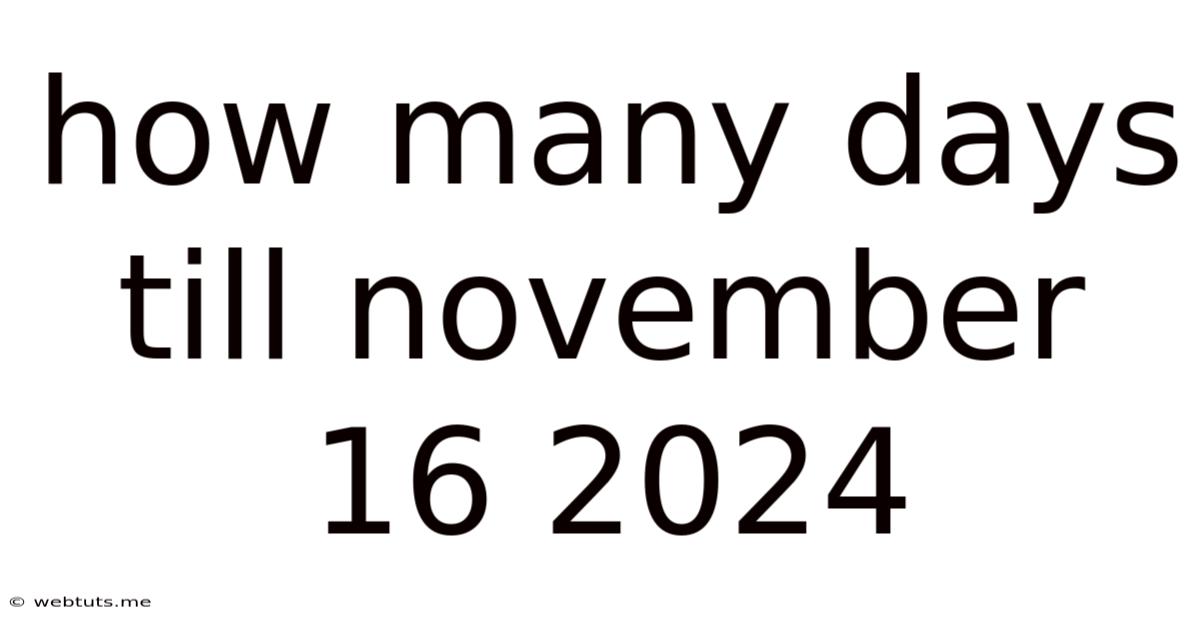 How Many Days Till November 16 2024