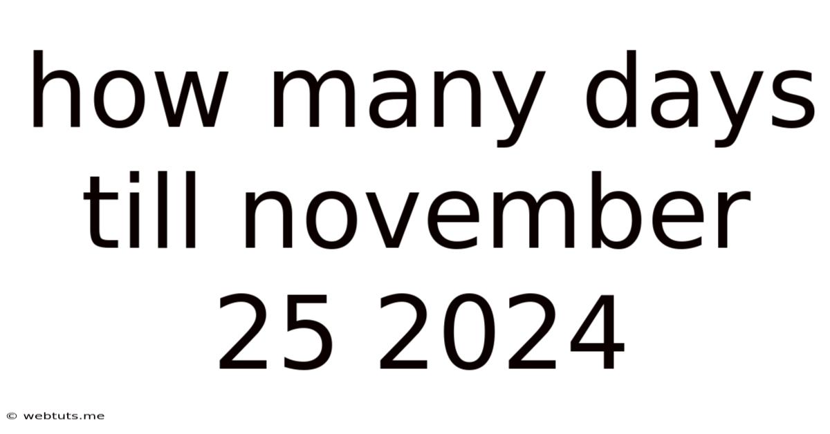 How Many Days Till November 25 2024